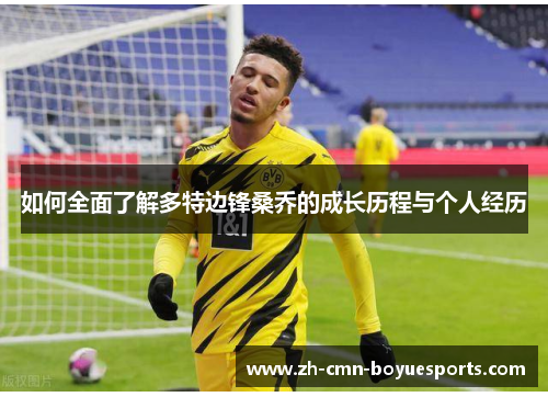 如何全面了解多特边锋桑乔的成长历程与个人经历