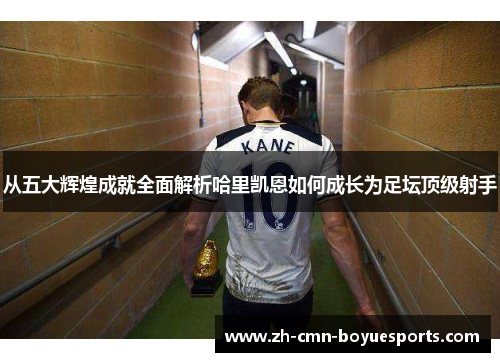 从五大辉煌成就全面解析哈里凯恩如何成长为足坛顶级射手