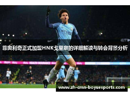 菲奥利奇正式加盟HNK戈里察的详细解读与转会背景分析