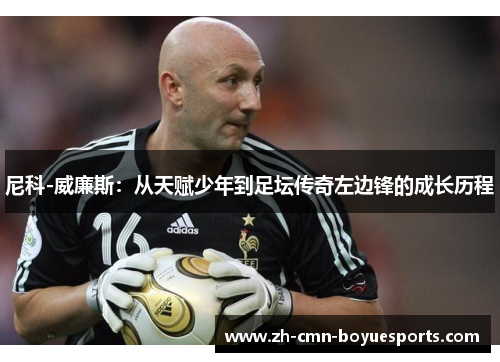 尼科-威廉斯：从天赋少年到足坛传奇左边锋的成长历程