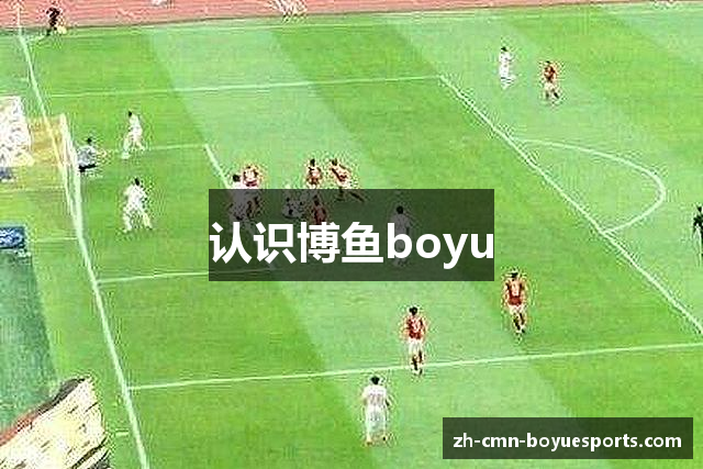 认识博鱼boyu
